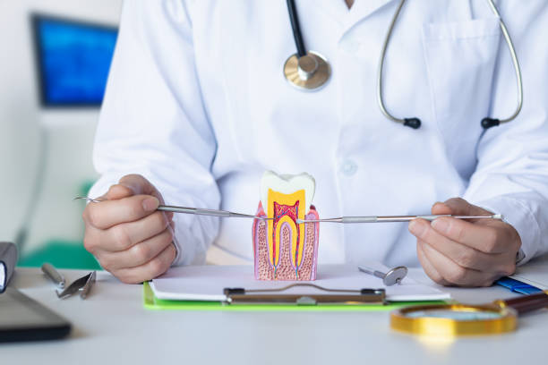 Best Emergency Dental Care for Broken or Chipped Teeth in Beach Haven West, NJ